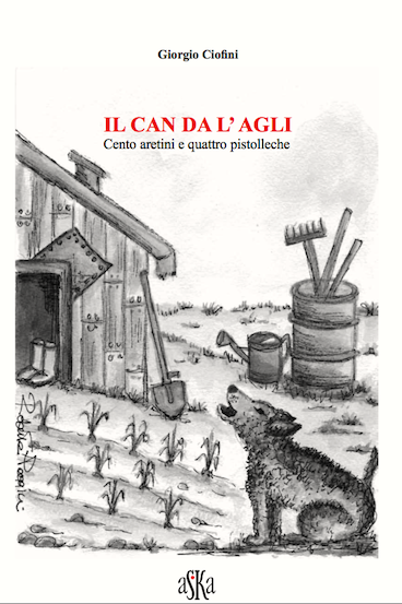 la copertina del libro di Giorgio Ciofini